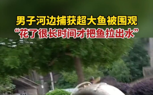 ที่หวายฮวา มณฑลหูหนาน ชายคนหนึ่งจับปลาตัวใหญ่มโหฬารริมแม่น้ำจนมีคนมุงดู “ใช้เวลานานมากกว่าจะดึงปลาขึ