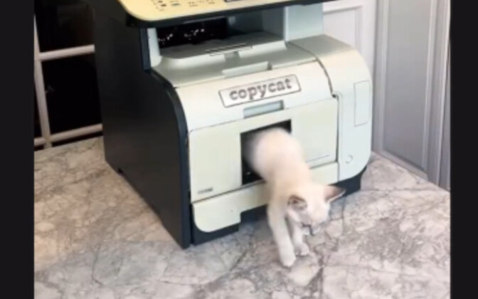 This is the most realistic 3D printer I’ve ever seen!