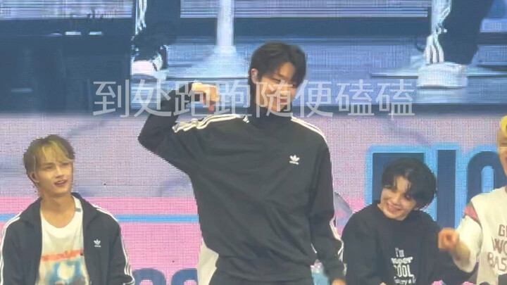 【seventeen】Nhóm nhạc nam thì phải nhảy vũ đạo của nhóm nữ | Ca khúc “không hợp” nhất? Không hề, rõ r