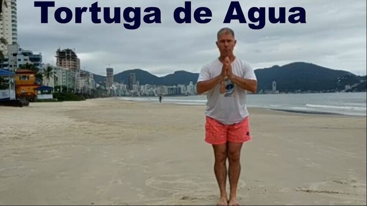 ¿Sabías que Chi Kung tiene una forma inspirada en la Tortuga de Agua ¡Mira cómo