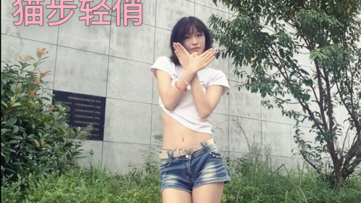 喵喵喵～猫步轻俏半曲来咯！