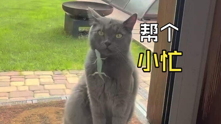 Awkward Moments of Those Animals!