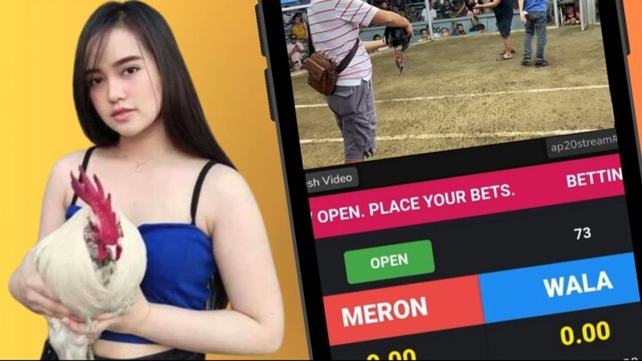 SNIPLAY88 sabung ayam - sabung ayam online - judi sabung ayam online - situs judi sabung ayam online