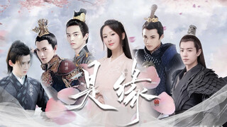 [Trung tâm Jinmi Lalang] Đó là số phận|| Yang Zi|Xiao Zhan|Yang Yang|Bai Jingting|Song Weilong|Chen 