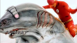 鲨鱼王是好人还是坏人