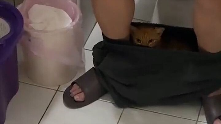The cat knows where it’s the warmest!