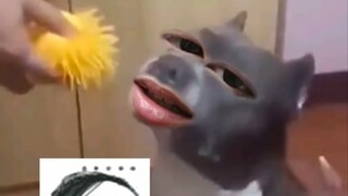 杀鸡儆猴呗做给谁看呢