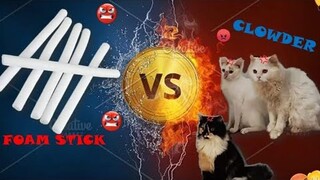 Cat vs Stick || Clowder Zone