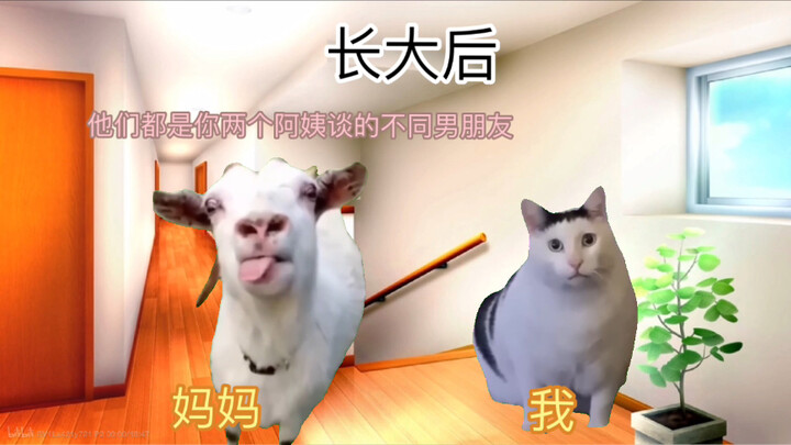 【猫meme】跟着海王阿姨吃香喝辣的故事