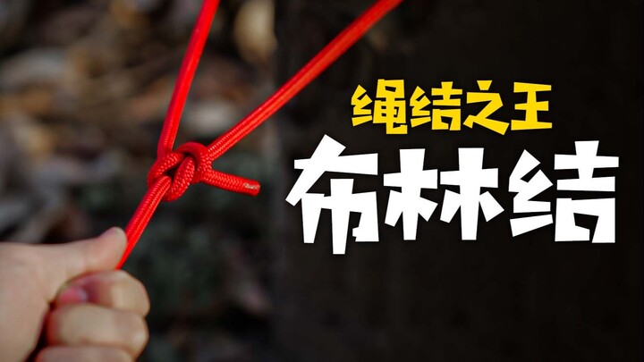 露营绳结之王—布林结。坚固无比，安全可靠，你学会了吗？