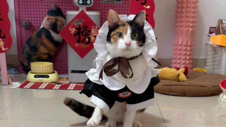 Say “tissues” in an awesome, super-cool tone!