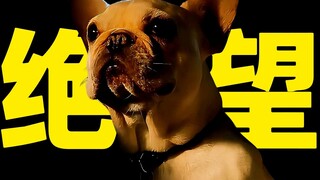 好样的布鲁斯！