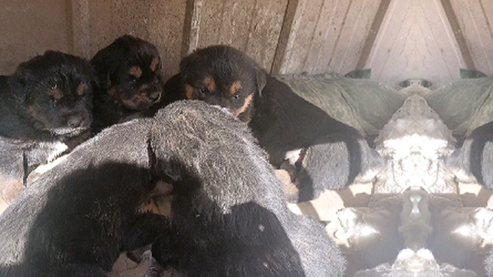 Thanks, everyone! We’ve hit 100k views. Get some rest early—see you tomorrow!