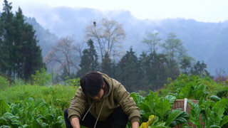 When I grew up, I learned to use the word "again". It is the Qingming Festival again. This is the da