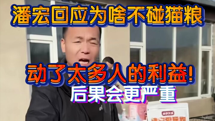 Pan Hong explains why he “won’t touch cat food”! He’s stirred up too many people’s interests; the fa