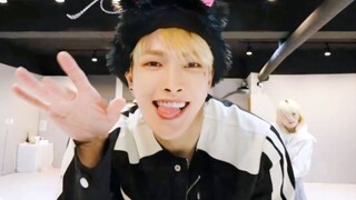 【ATEEZ】Phòng tập đặc biệt Crazy Form với tai thỏ Giáng sinh!