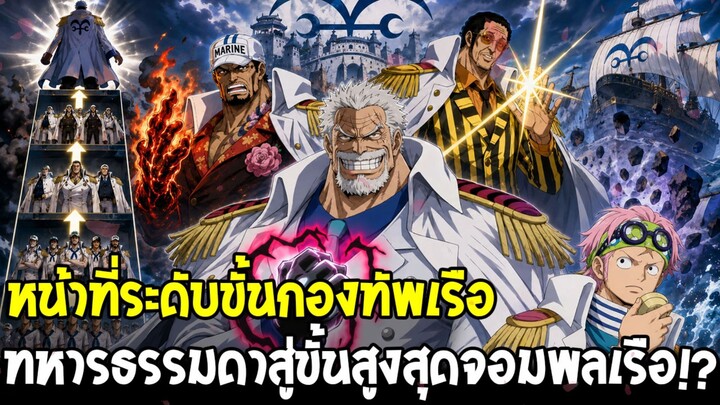 วันพีช - เปิดระบบกองทัพเรือ ลำดับขั้นหน้าที่จากทหารธรรมดาสู่จอมพลเรือ!?
