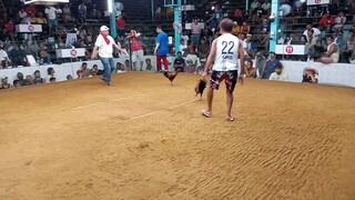 first fight win