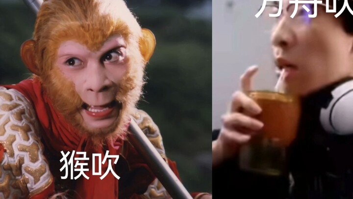 当明日方舟吹子遇见以下吹子