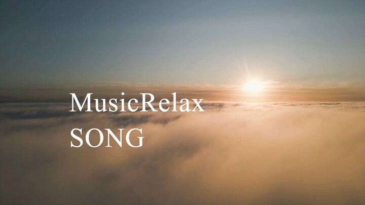 Zen Flow：治愈心灵的宁静音乐