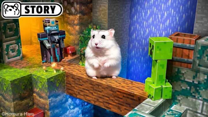 Hamster trong Cuộc phiêu lưu trong hầm ngục Minecraft - Đầm lầy ẩm Series 1 🐹 Homura Ham