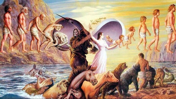 OP Reincarnated MC Anime | Full Episodes | English Dub | Hindi | New Anime Full Screen