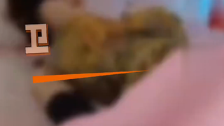 近日现在越看越颠，记者走访调查VR体验馆，里面竟有共享硅胶娃娃，“一客一消毒”做法遭顾客质疑..