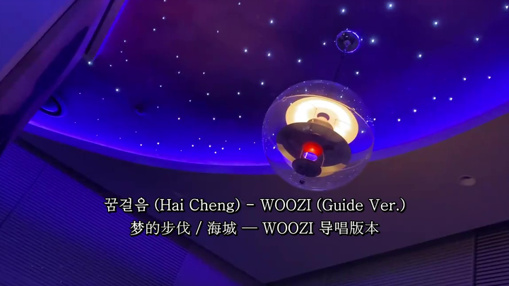 【Subtitle Mandarin/Li Zhixun WOOZI】Langkah Impian (Hai Cheng) Versi Aransemen Vokal oleh WOOZI