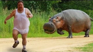 😂😂Funny videos2020|những clip siêu hài hước trên snack video|funny clips burst out laughing