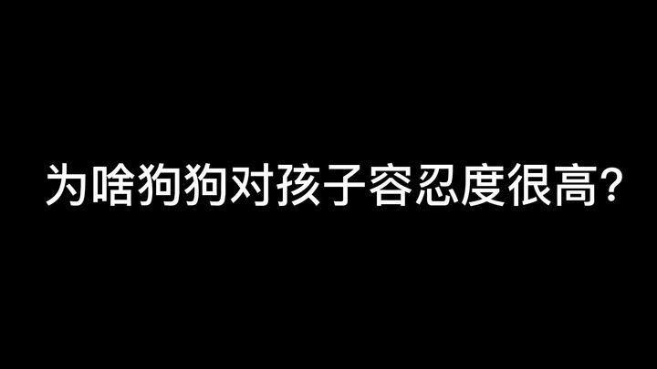 لماذا تتمتع الكلاب بدرجة عالية من التسامح مع الأطفال؟