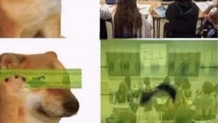 Internet Stupid Pictures Collection #69