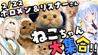 【2/22は猫の日】にゃんにゃんにゃん！ご自慢ねこちゃん鑑賞会！ぺこ！【ホロライブ/兎田ぺこら】