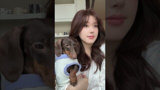 #zhaolusi Studio Weibo Update 240508