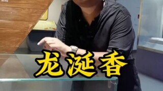 有一块就能换一套别墅的龙涎香，究竟是什么东西？