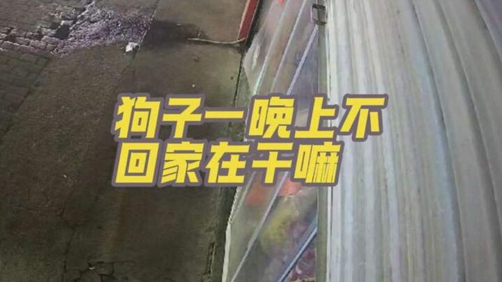 Kayaknya kali ini si kecil nggak berani kabur lagi—ketakutan banget sampai nggak bisa tidur semalama