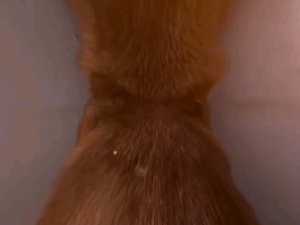 Chơi đố não với tôi