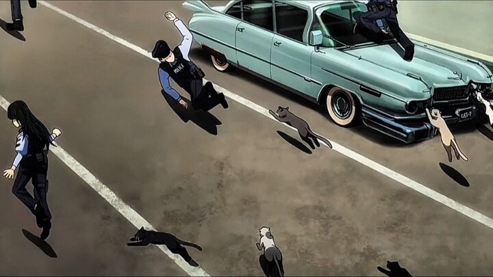 Yang Disentuh Kucing Bakal Jadi Kucing 🐱