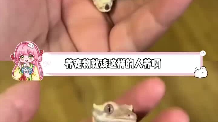 Chỉ những người như vậy mới có thể nuôi thú cưng