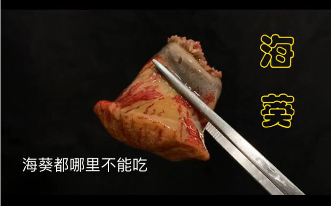 Bagian mana dari anemon laut yang tidak boleh dimakan? Apakah benar-benar beracun? Lalu bagaimana se