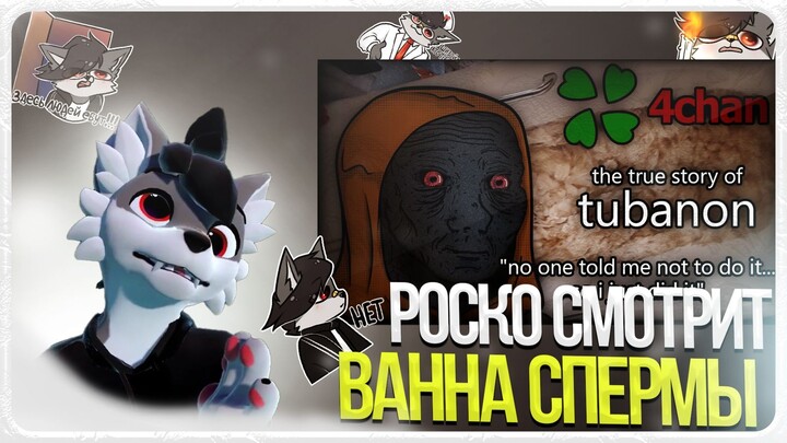 🐺 Роско смотрит Lil Sleepy - tubanon: horrors from 4chan (ванна спермы) 🛁