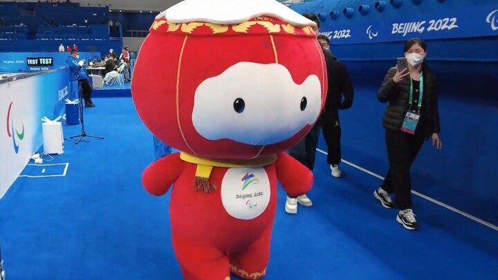 雪容融跑起来也太可爱了吧 o(≧▽≦)o