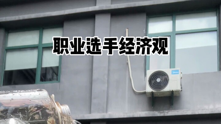 มุมมองด้านเศรษฐกิจของโปรเพลเยอร์