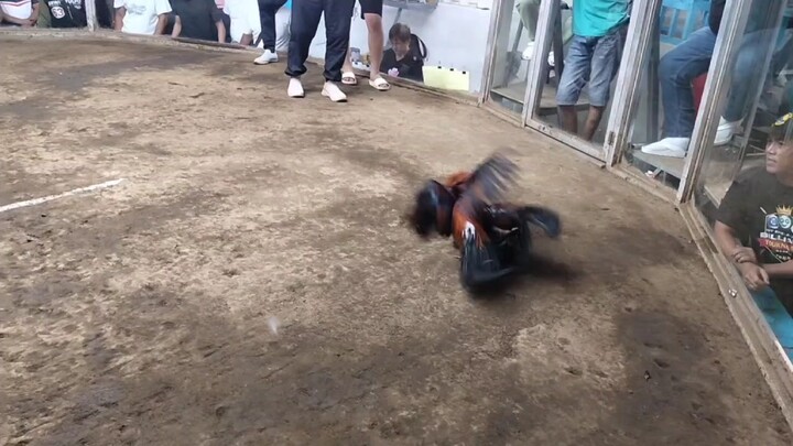 1st fight pang 3x winn champp 2hits @noveleta