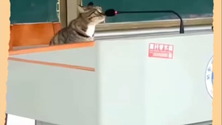 Suara merdu Hakimi