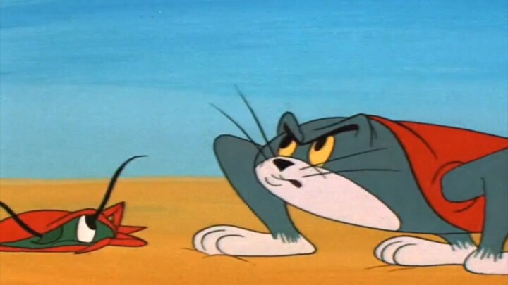 【Tom dan Jerry】Tom: Saya pengganggu kecoa