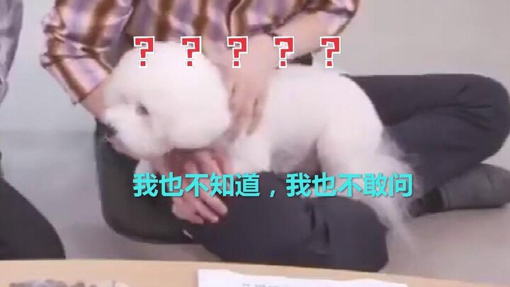 [Wei (Vi) Fen (Fin) CP] Bilibili doesn't get it: What's this black ball running for?