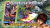 Hardgame Hayabusa vs Ling Jago, Ketemu Ling Jago Epic Comeback bikin Tegang !!!