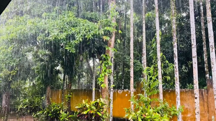 Lost in the bliss of rain 🌧️💙