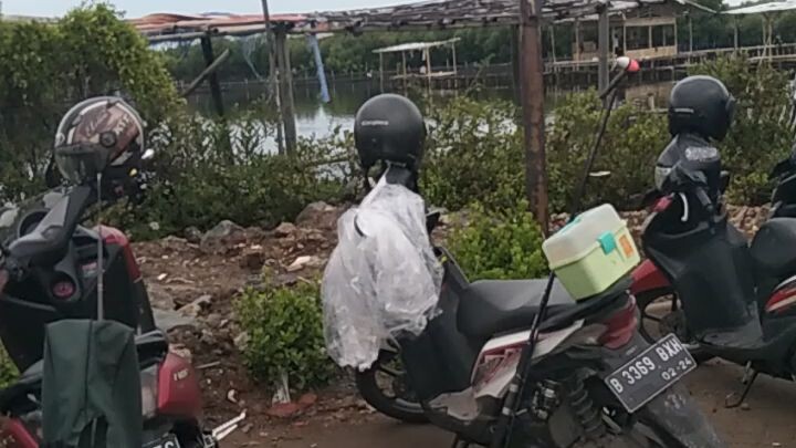 PARA PEMBURU EKOR KAKU ATAU BANDENG MANIA
