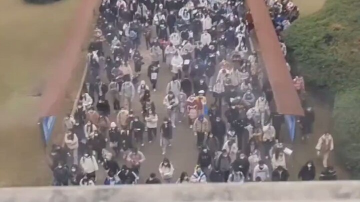 Ngày xưa chúng ta còn cười nhạo chuyện Phạm Tiến đỗ cử nhân hay Khổng Ất Kỷ, nhưng sinh viên ngày na